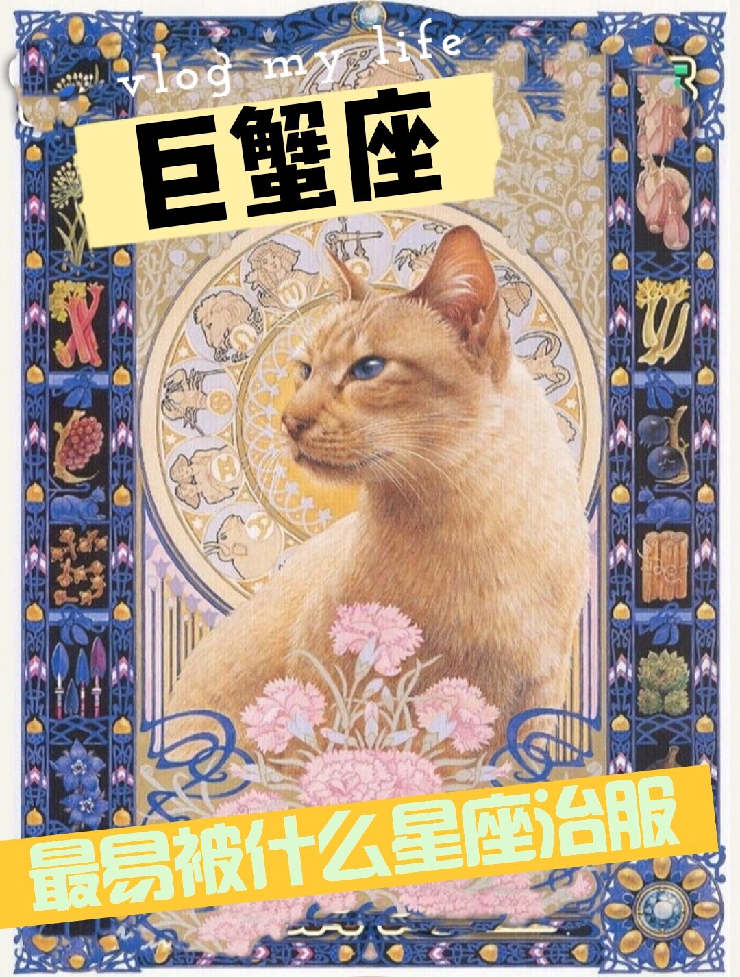 (桃花秘籍) 95第1名:摩羯座 摩羯座是巨蟹座的对宫星座,双方对彼此
