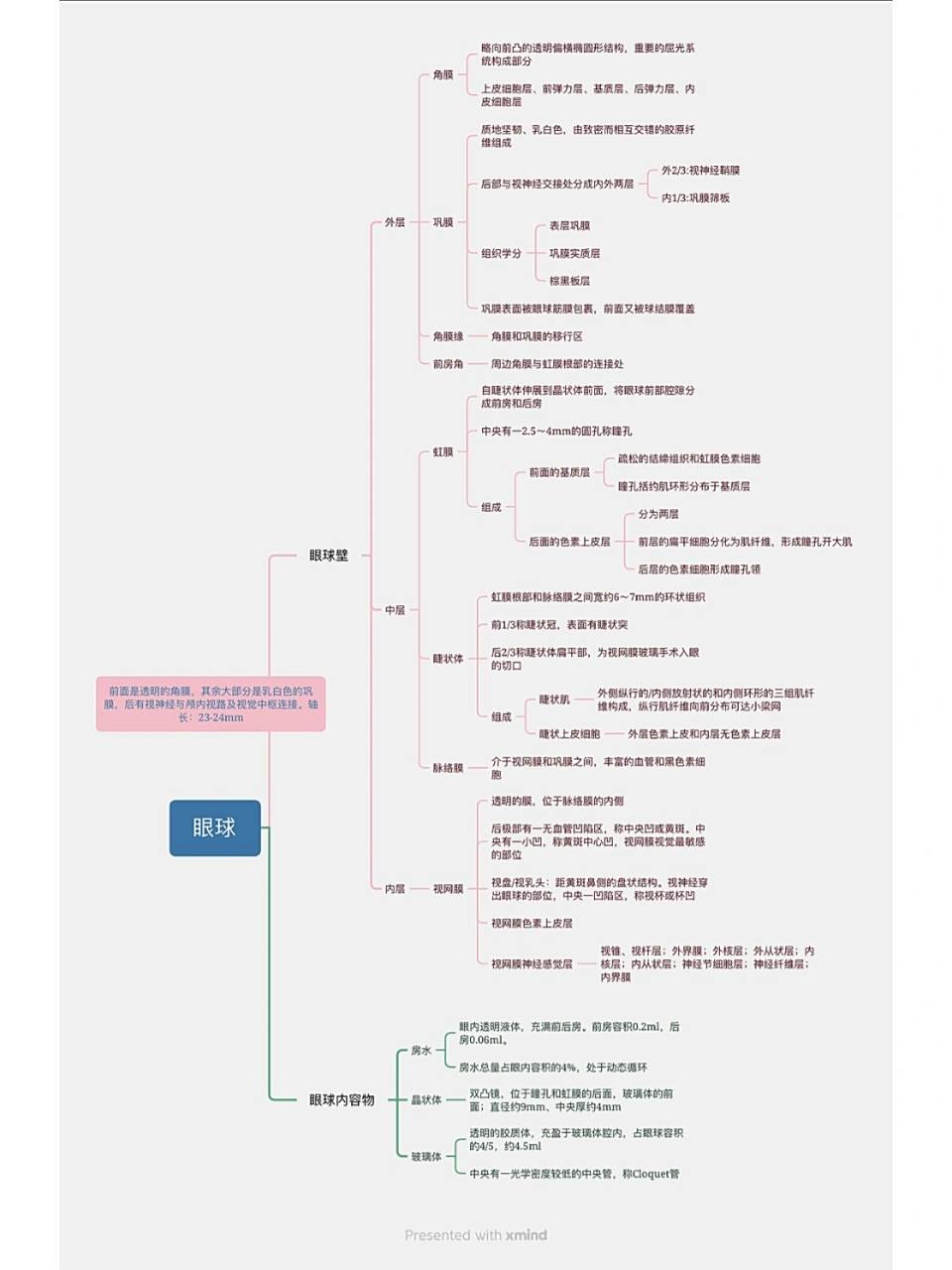 眼科学|01|眼球的解剖结构图和思维导图 昨天刚学完眼科学,今天眼角就