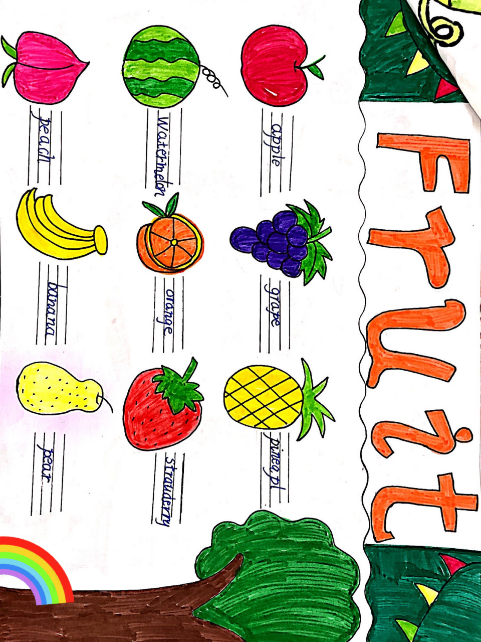 英语水果手抄报 三年级下册孩子们的手抄报,赞赞赞