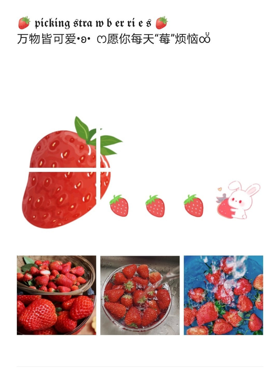 草莓文案/冬天第一颗草莓来喽91 冬天的第一颗草莓朋友圈文案九宫格