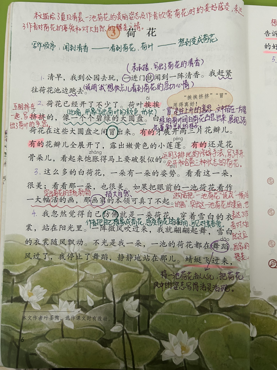 荷花03备课笔记92 03教学建议 在前一课的基础上,继续围绕单元