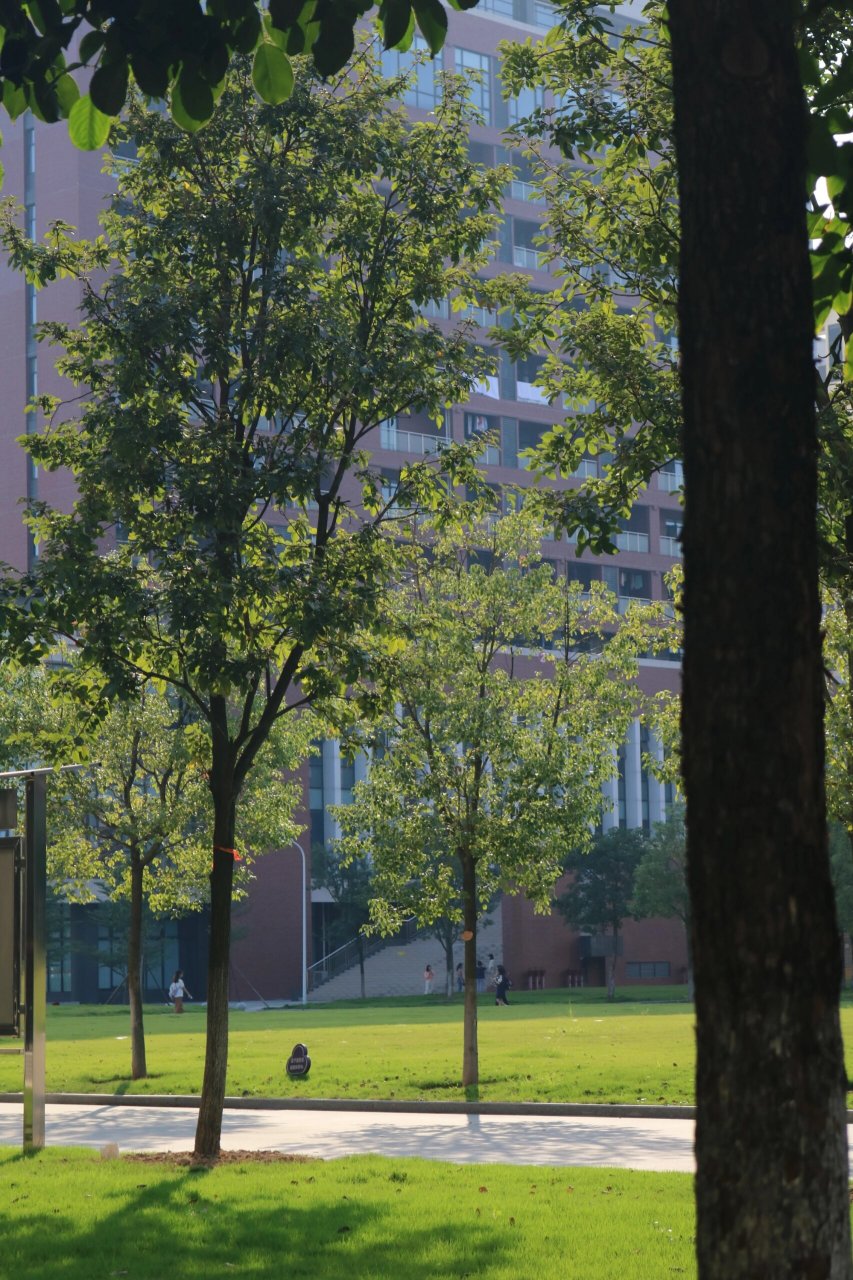 广州华商学院肇庆(四会)校区 风景篇 以上图片 禁止07商用 二传二改