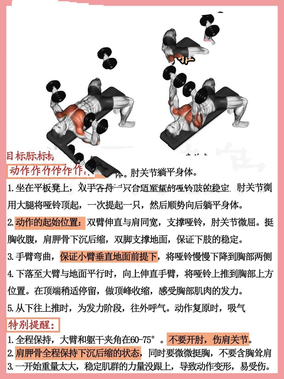 哑铃平板卧推动作要领图片