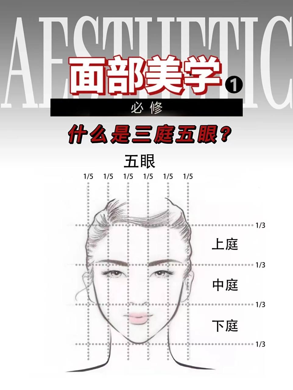 审美干货97一张图让你明白面部黄金比例17【三庭五眼】绝对是