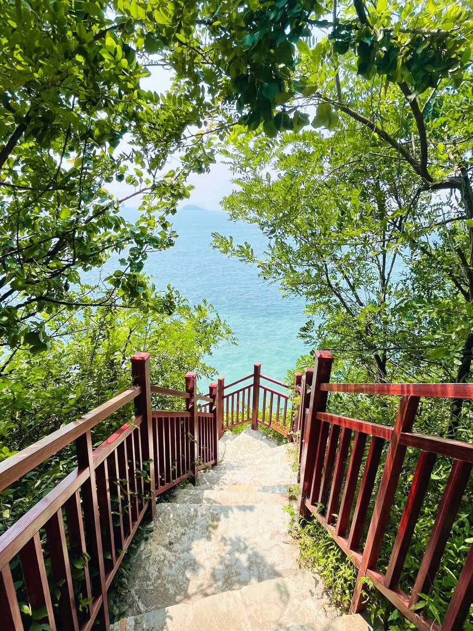 大连七贤岭森林公园99|通向森林大海的阶梯 大连的海98永远不会让