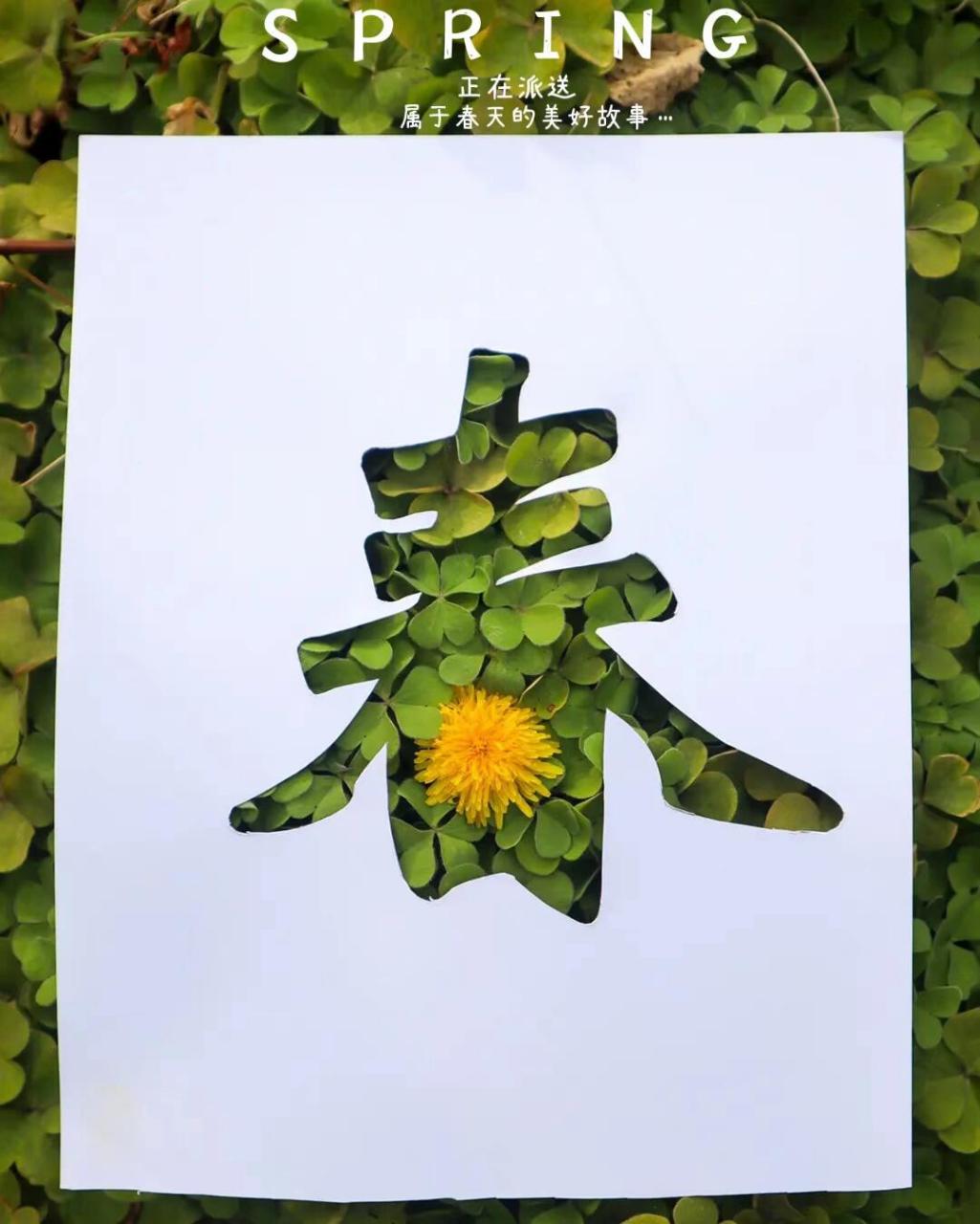 瓶子里的春天手工作品 镂空春字,镂空国旗去大自然中寻找春天91 画