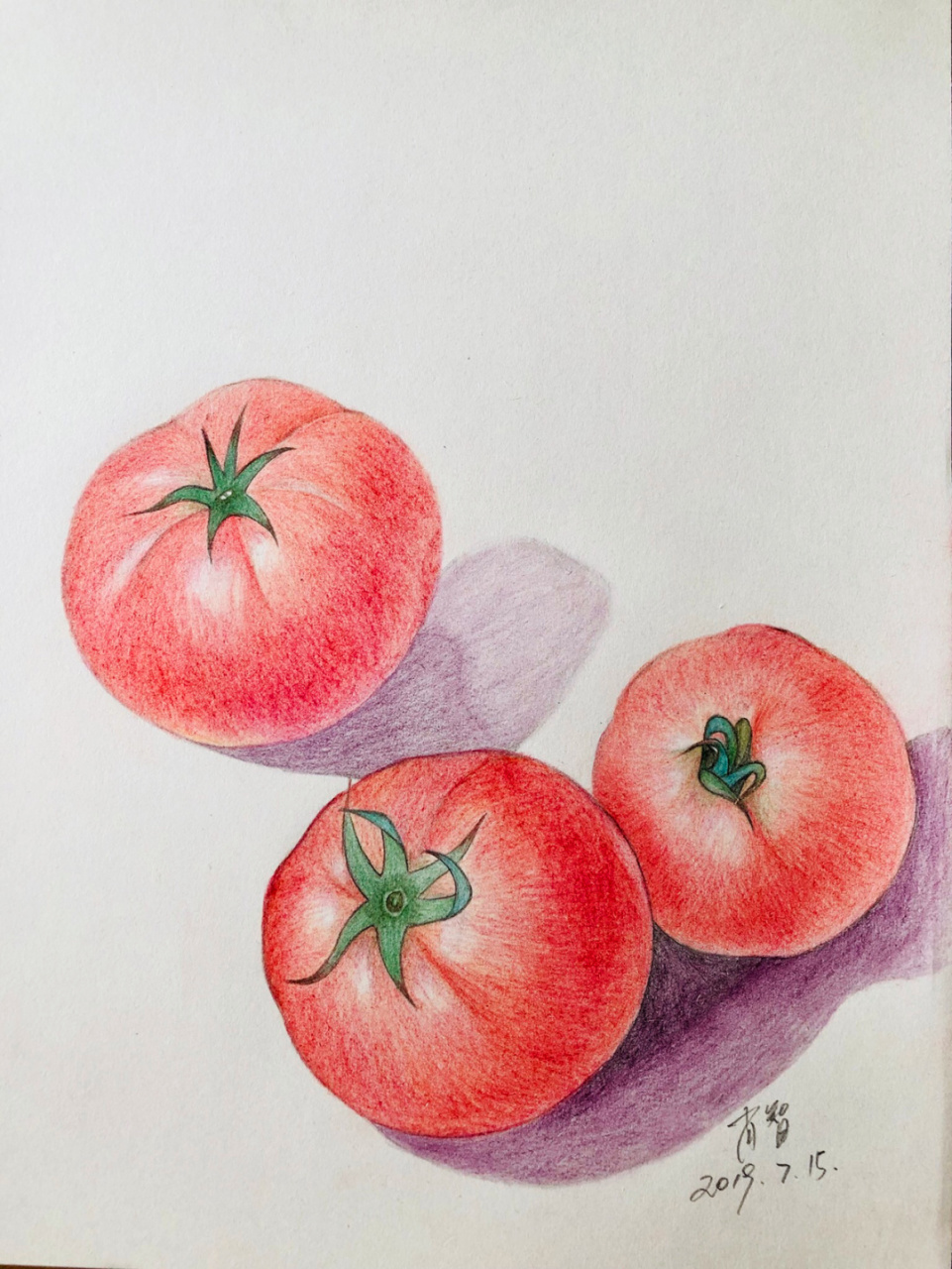 编号253(静物原创) 8k素描纸 辉柏嘉60色水溶性红盒彩铅.