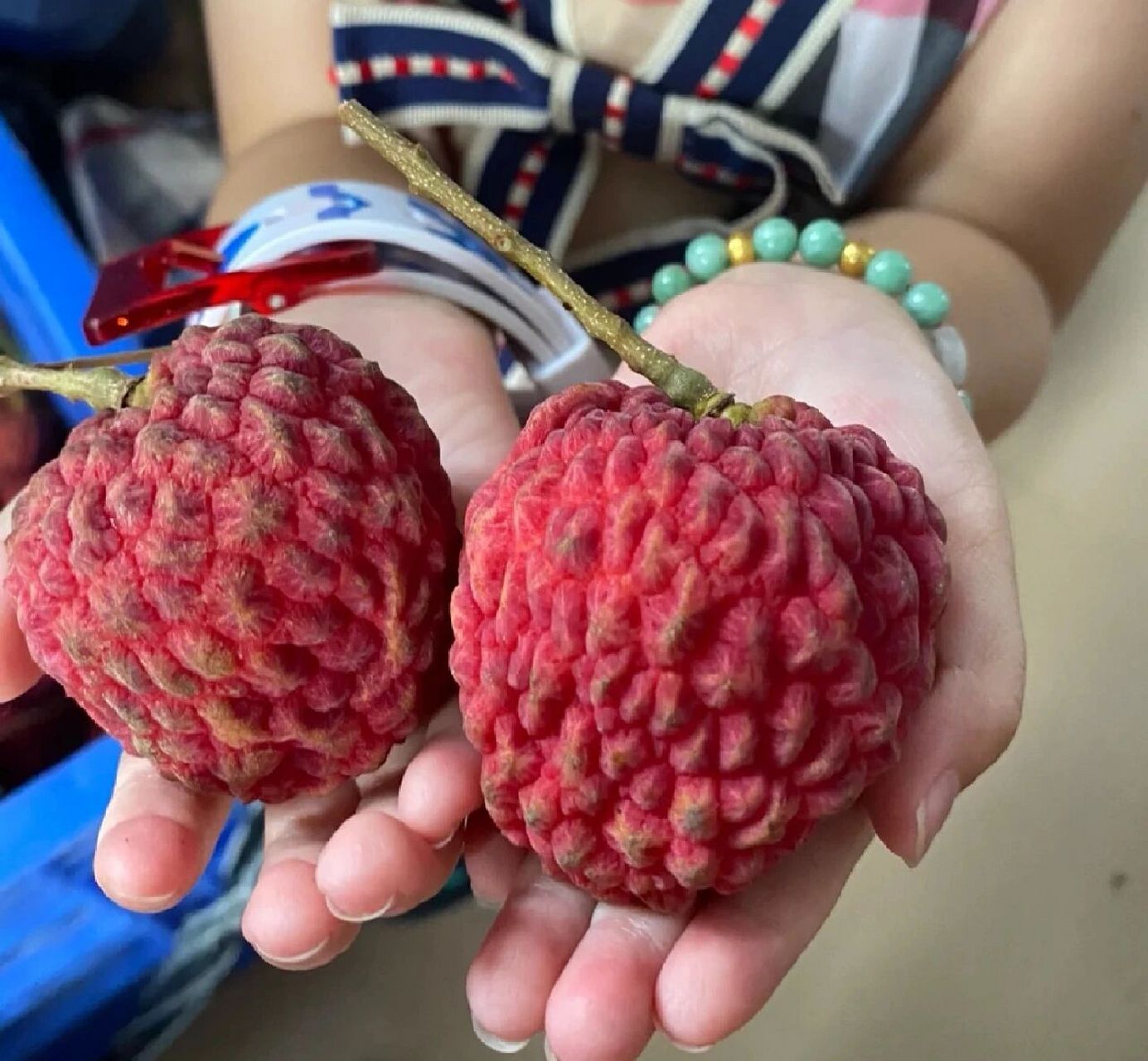 荔枝中的天花板 马上又到夏天了,最爱的就是荔枝!