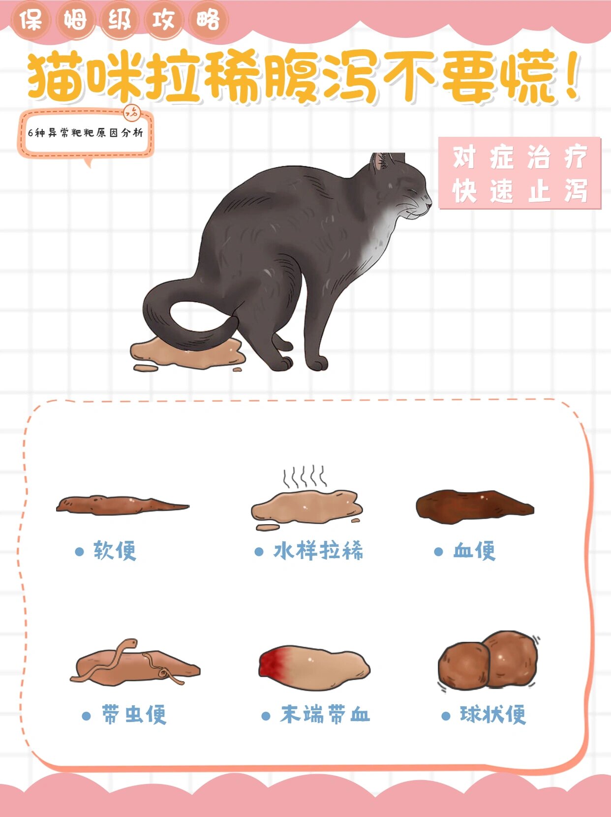 猫咪软便拉稀腹泻不要慌!轻微情况居家搞定