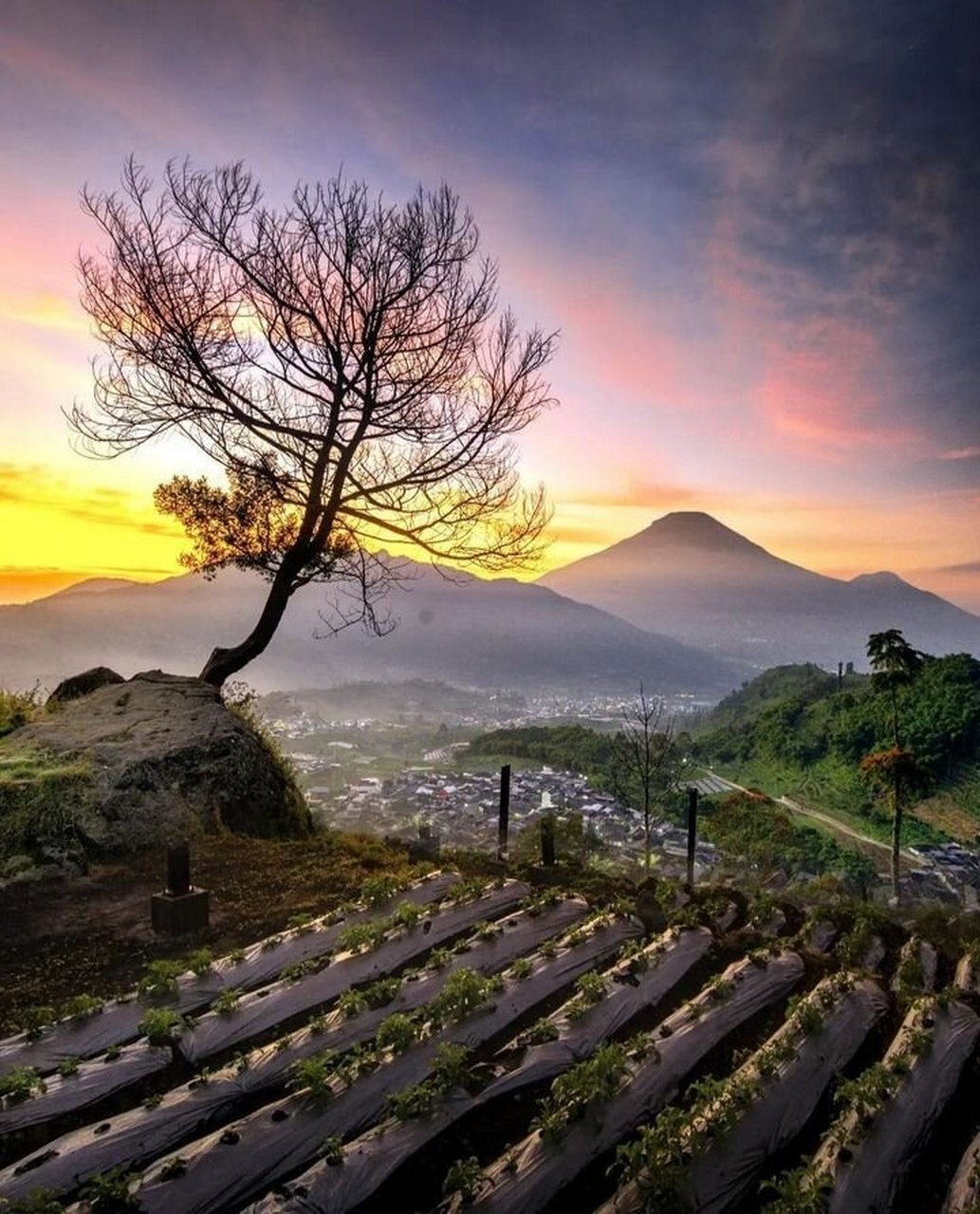 美图欣赏——清晨上山路上的美景 清晨,当第一缕阳光洒在大地上,我踏