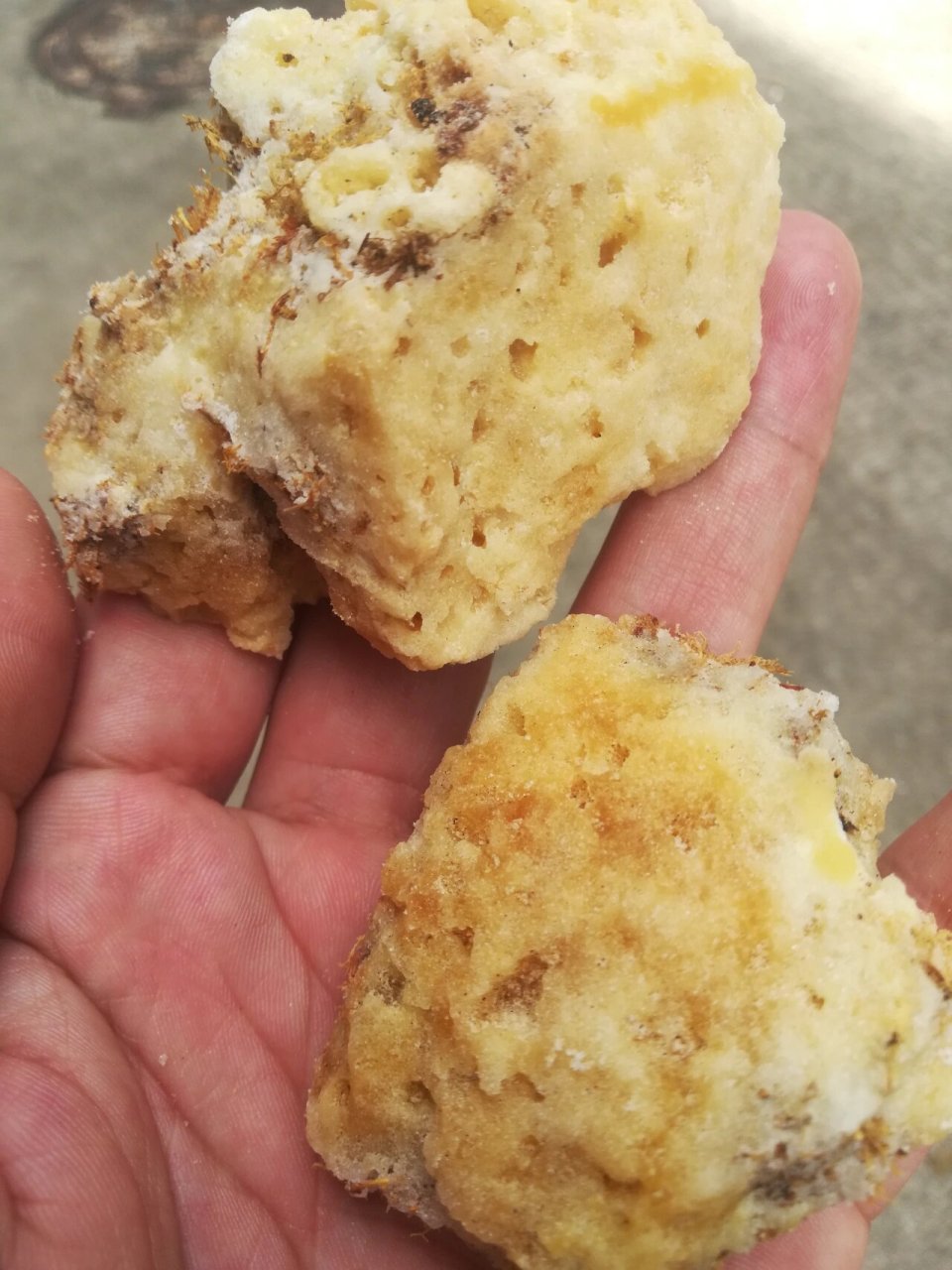 真假岩蜂蜜 图一是一朋友发过来的,她妈妈市场买的,60一两,图2,3是我