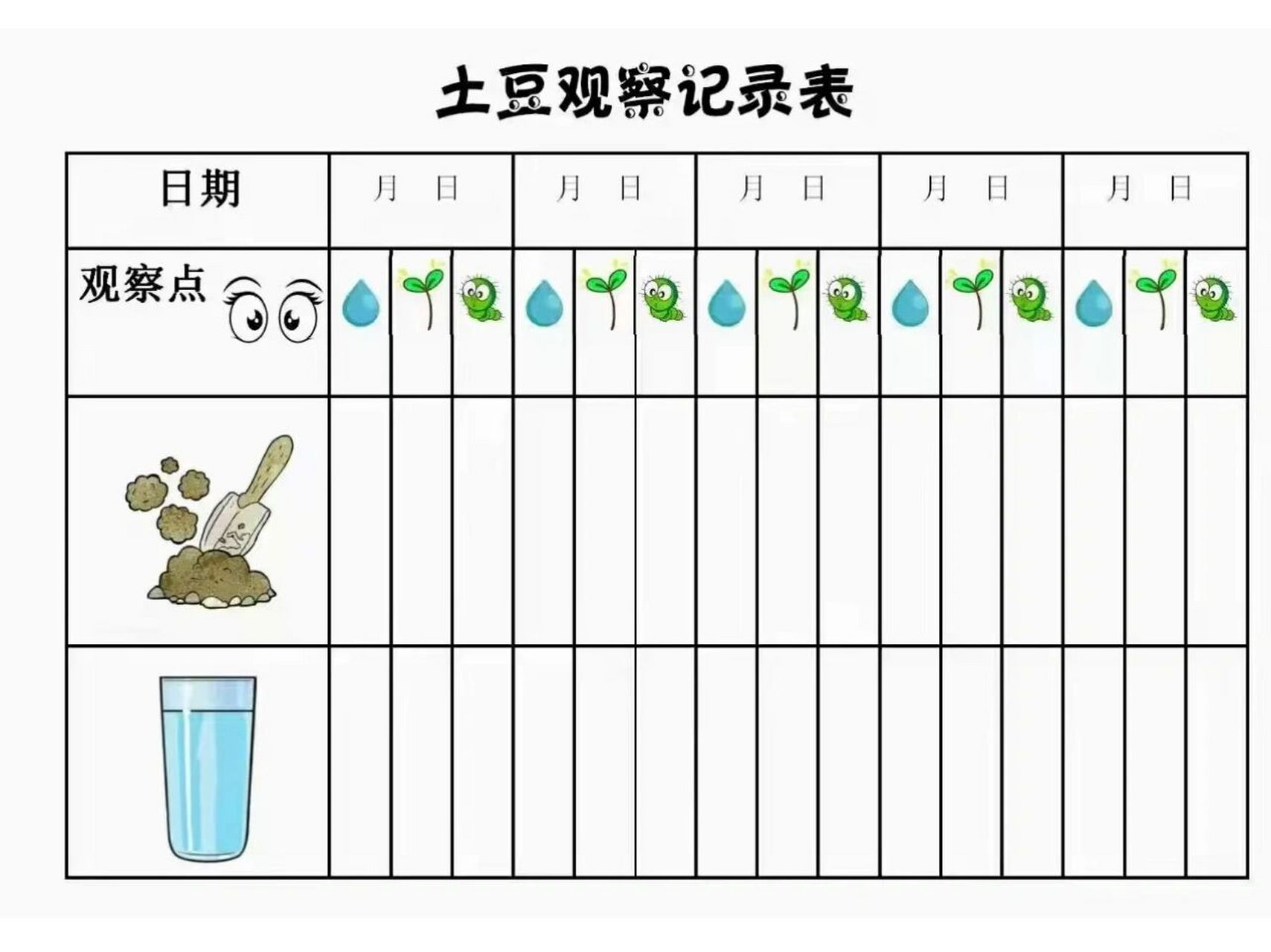 土豆观察记录表封面图片