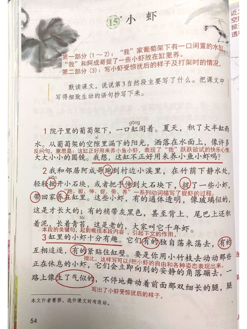 719915三下语文课堂笔记第15课《小虾 三年级下册语文课堂