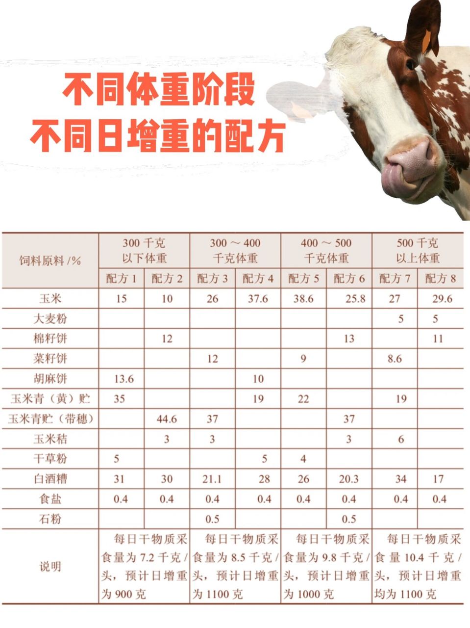 不同体重阶段牛饲料配方