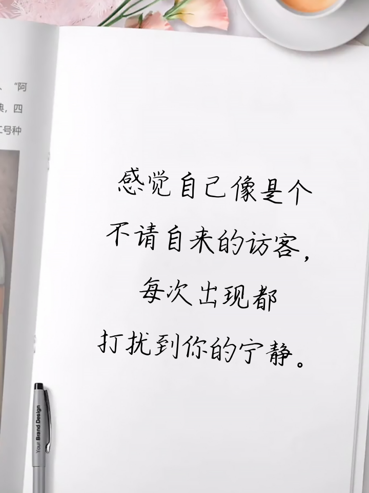 感觉自己多余又打扰他的句子 1.