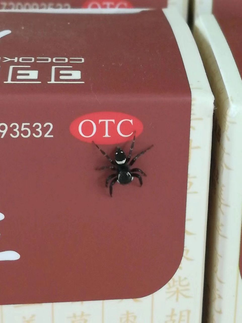 这笑脸蜘蛛有没有毒?