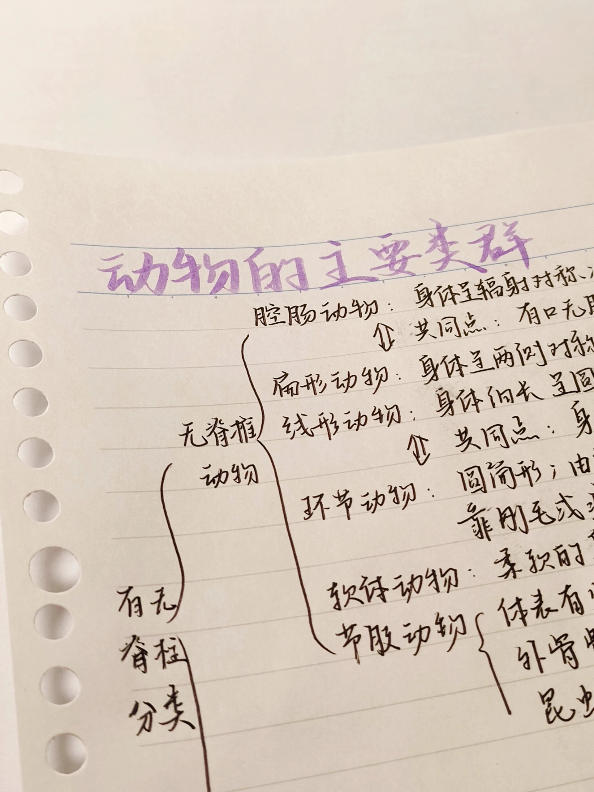 八上生物|动物的主要类群思维导图