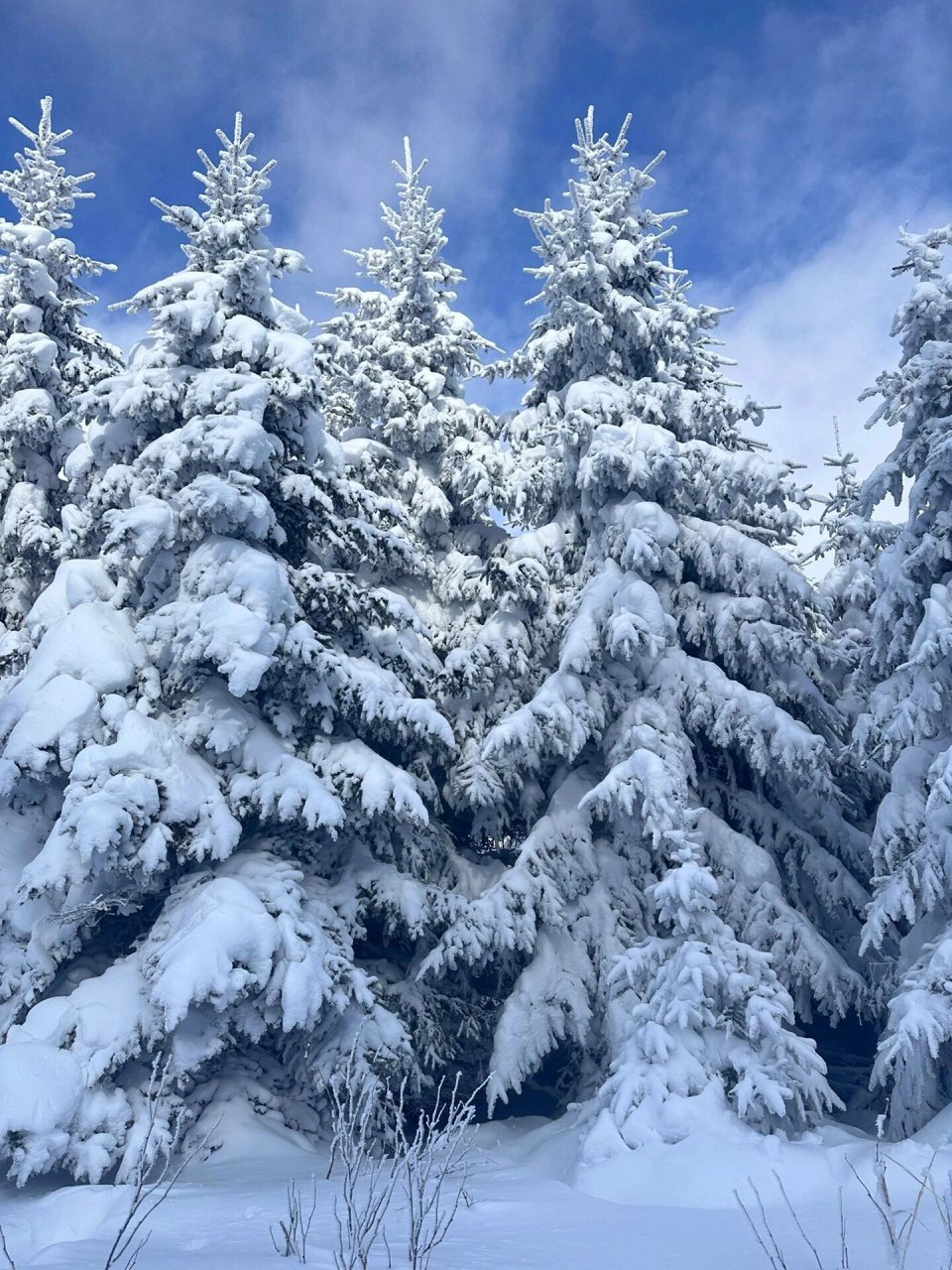 趁今年冬天出发吧~去体验北国雪景的浪漫 - 73长白山必打卡景点 1