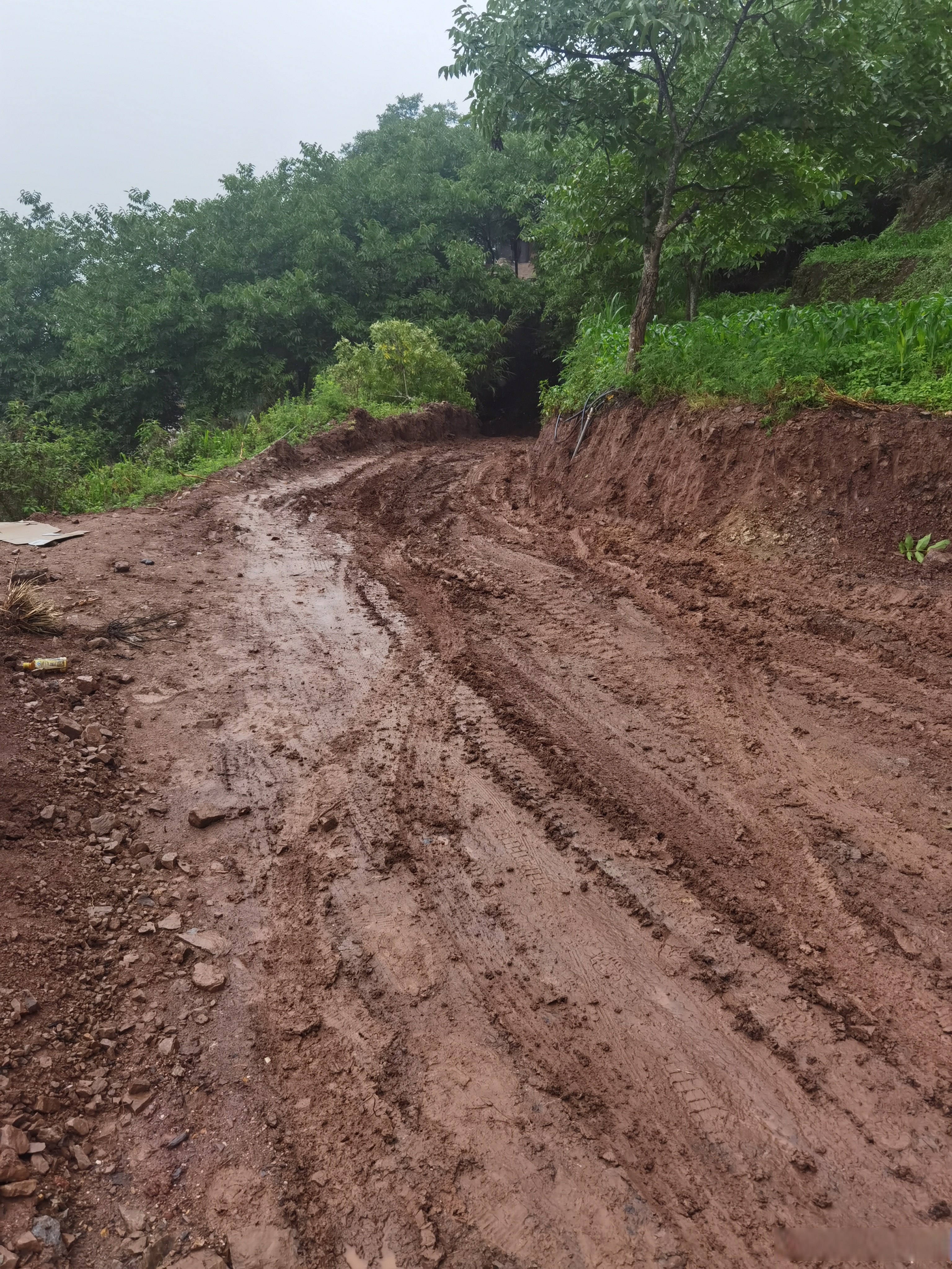 【上海石化深入推进云南普洱公益帮扶工作】春节前夕