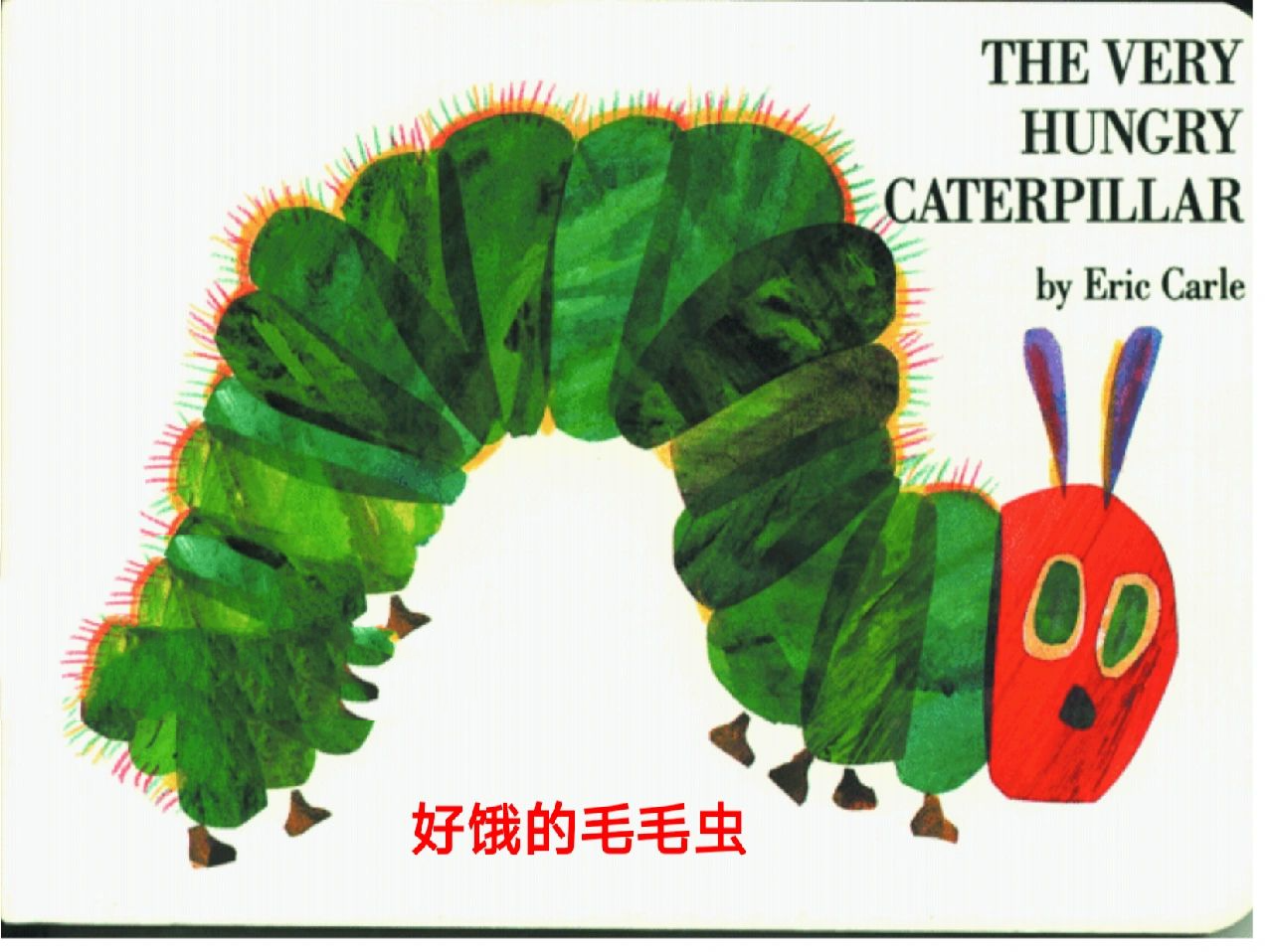 绘本推荐——《好饿的毛毛虫》
