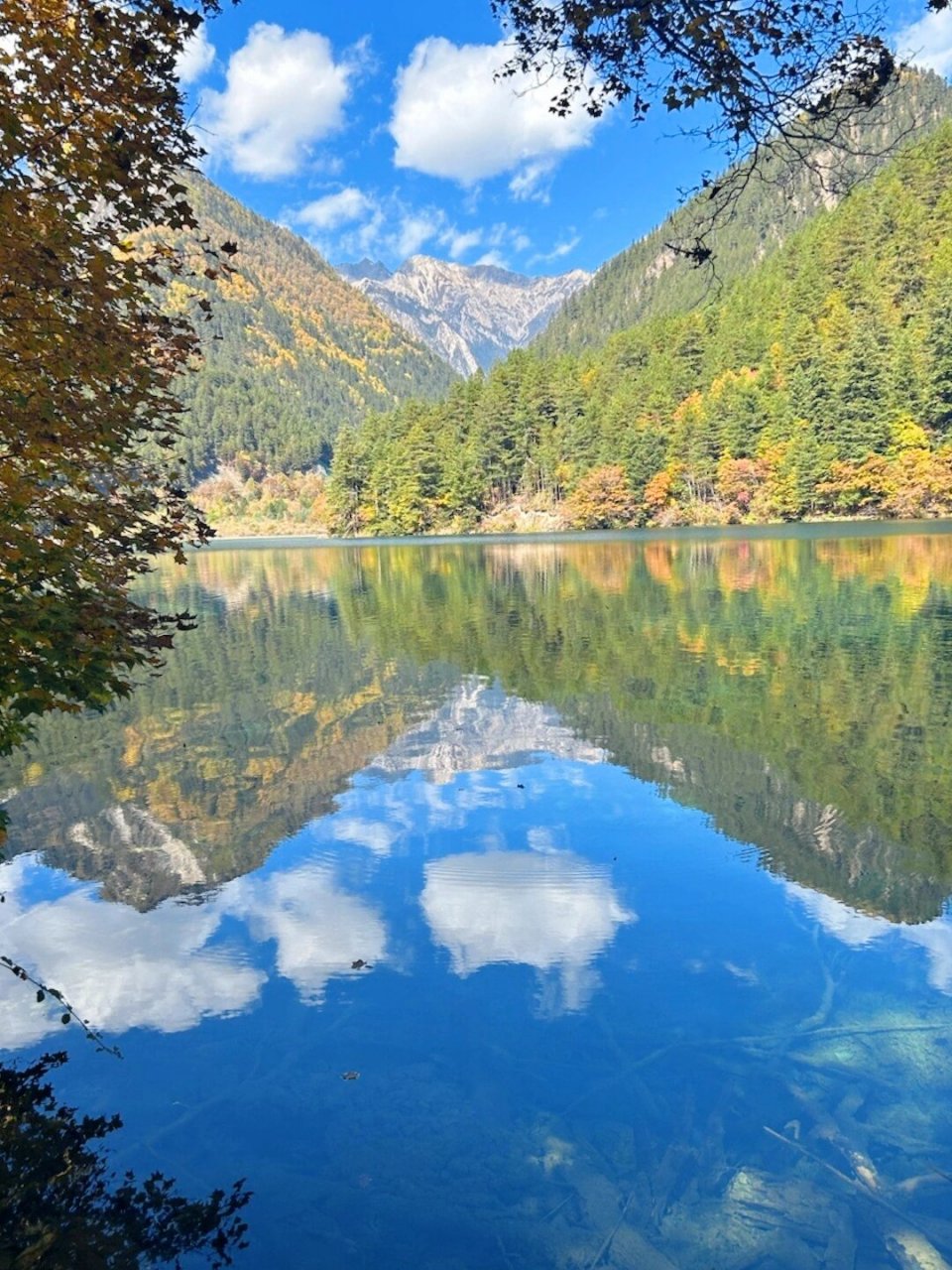 4天3晚旅行攻略收藏起来 说到秋景好,那就不得不提到九寨沟啦~94