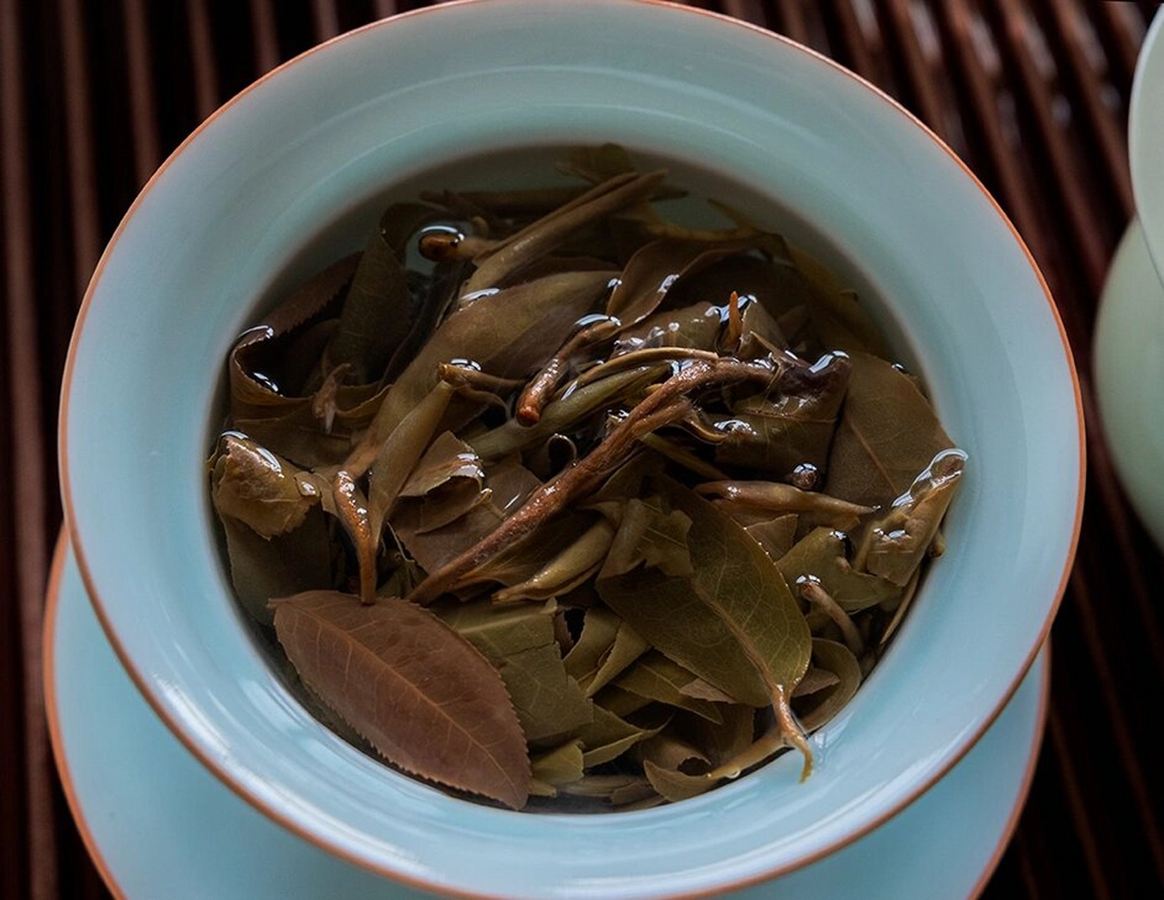 2022年,滑竹梁子野生白茶.(习茶记) 2022年,滑竹梁子野生白茶.