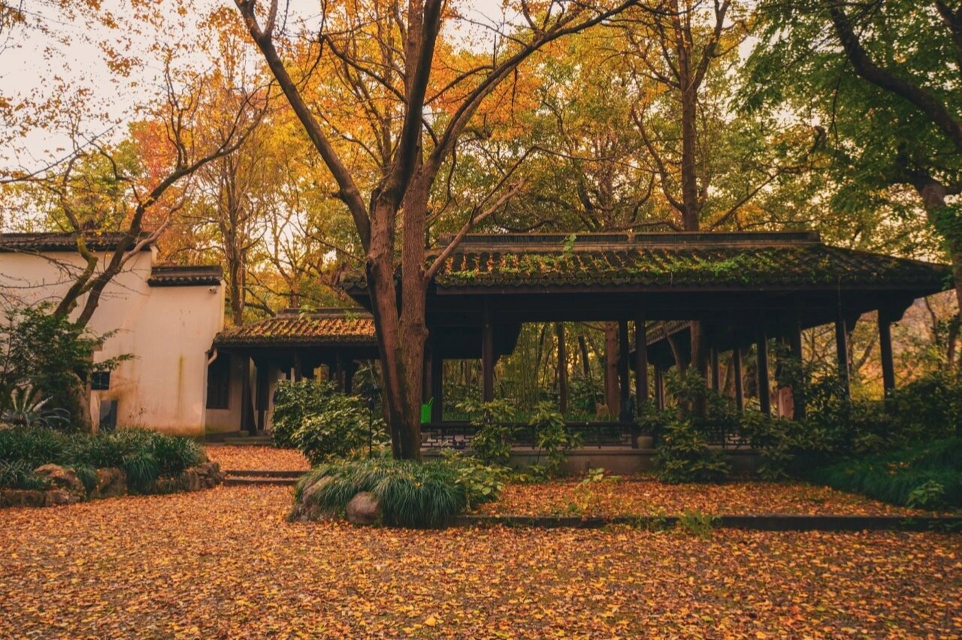 孤山公园|整个杭州西湖的秋天"藏"在这里 hello,我是疯狂的晶宝, 生活