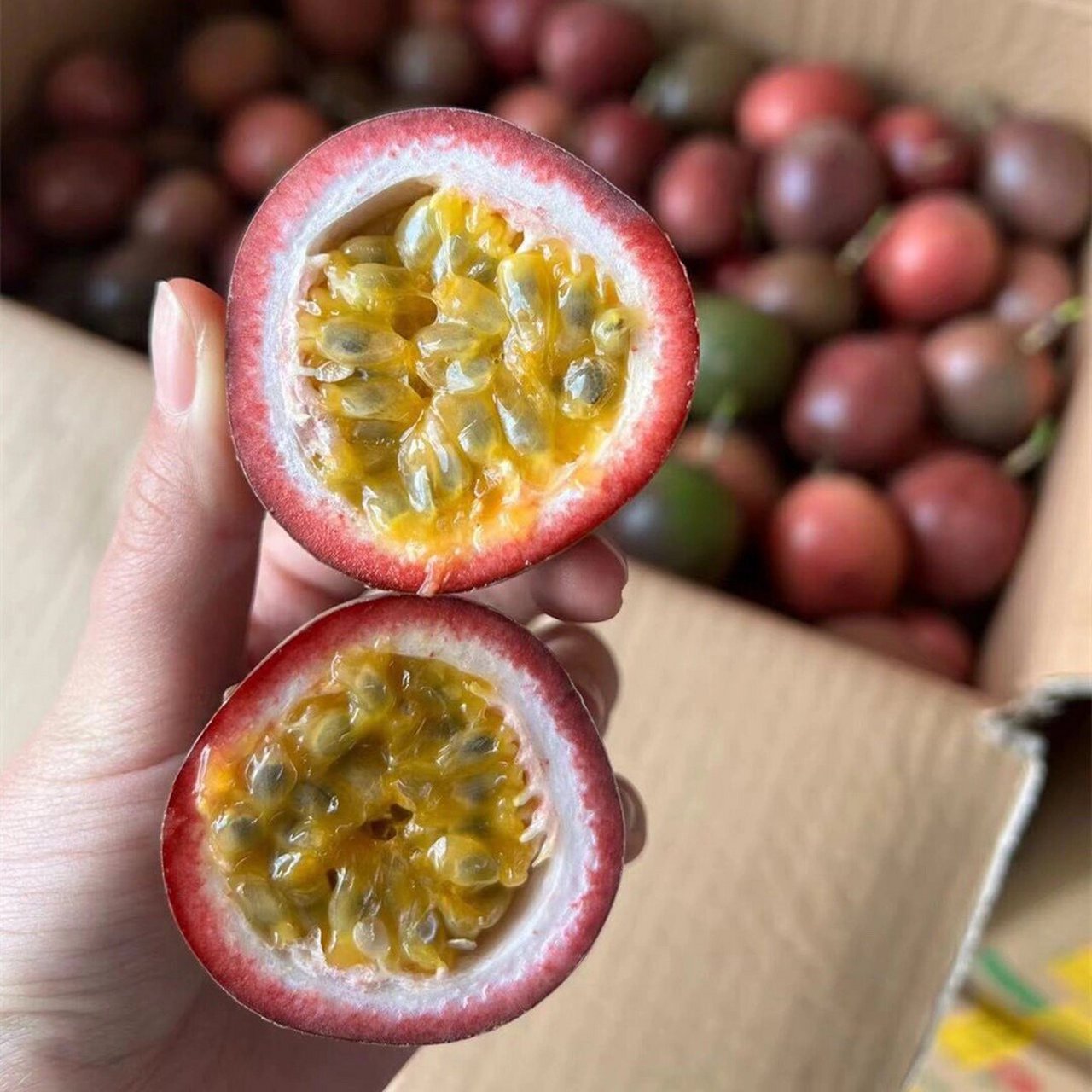 高山紫香一号百香果 当你遇上百香果, 尝试过就会喜欢上她的香, 贪恋