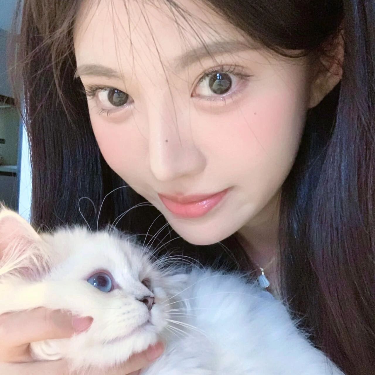 ins女头像巨好看小众 值得你长期不换的女生头像2023 最新款图片氛围