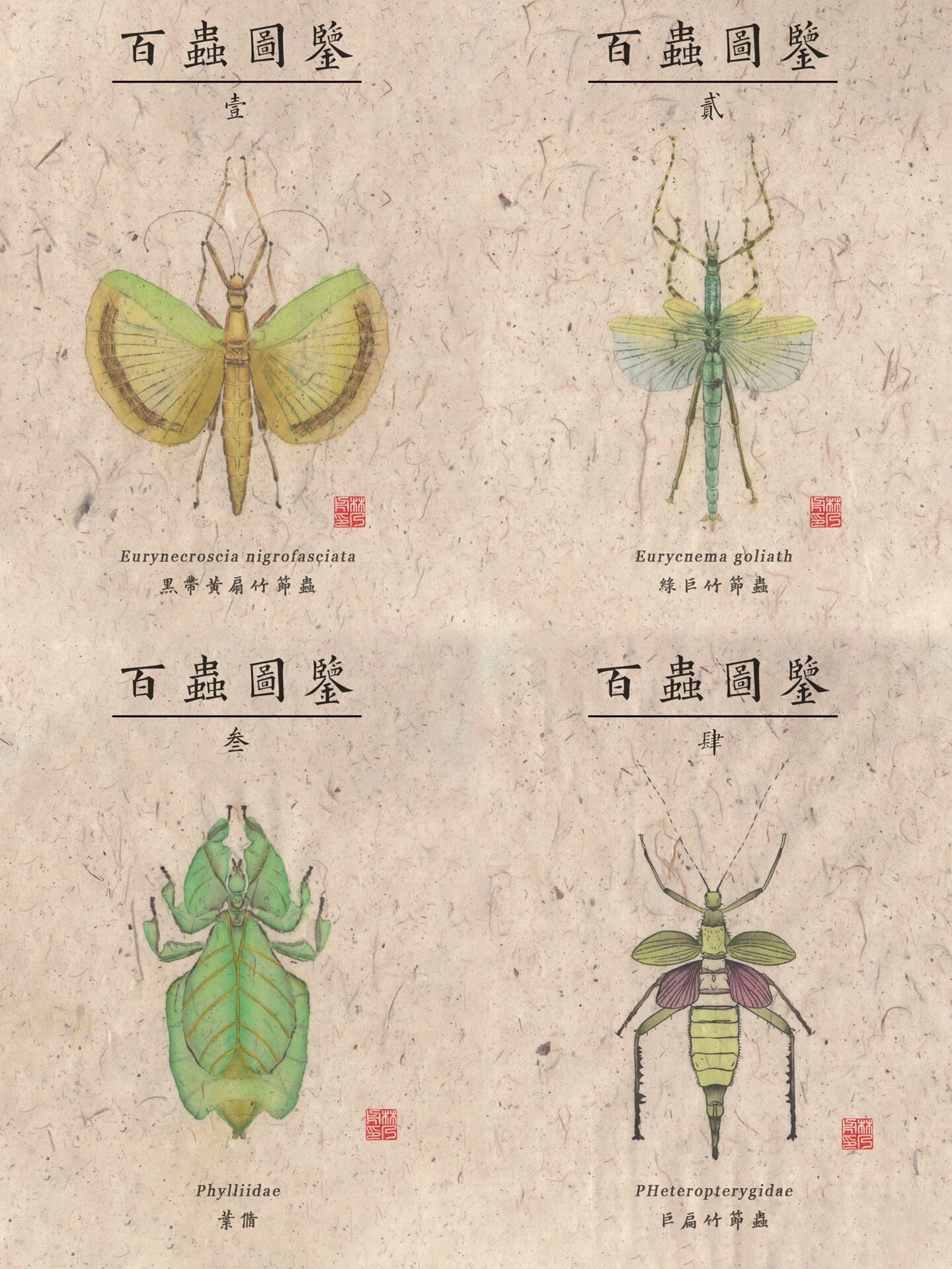 百虫图鉴|竹节虫合集·中国画创作