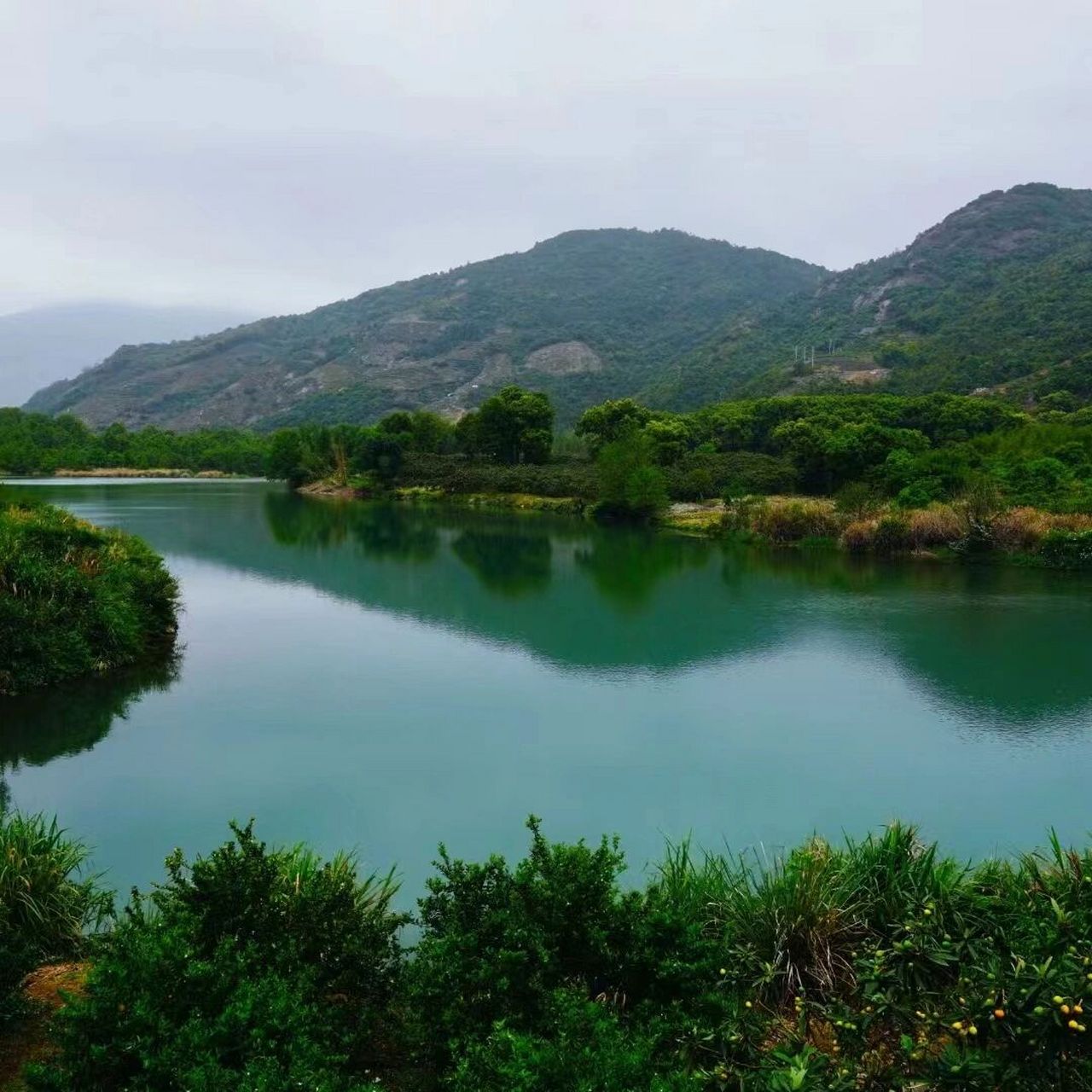 被福建不为人知的绝美古村落治愈了 赤溪村位于宁德福鼎磻溪镇,村子