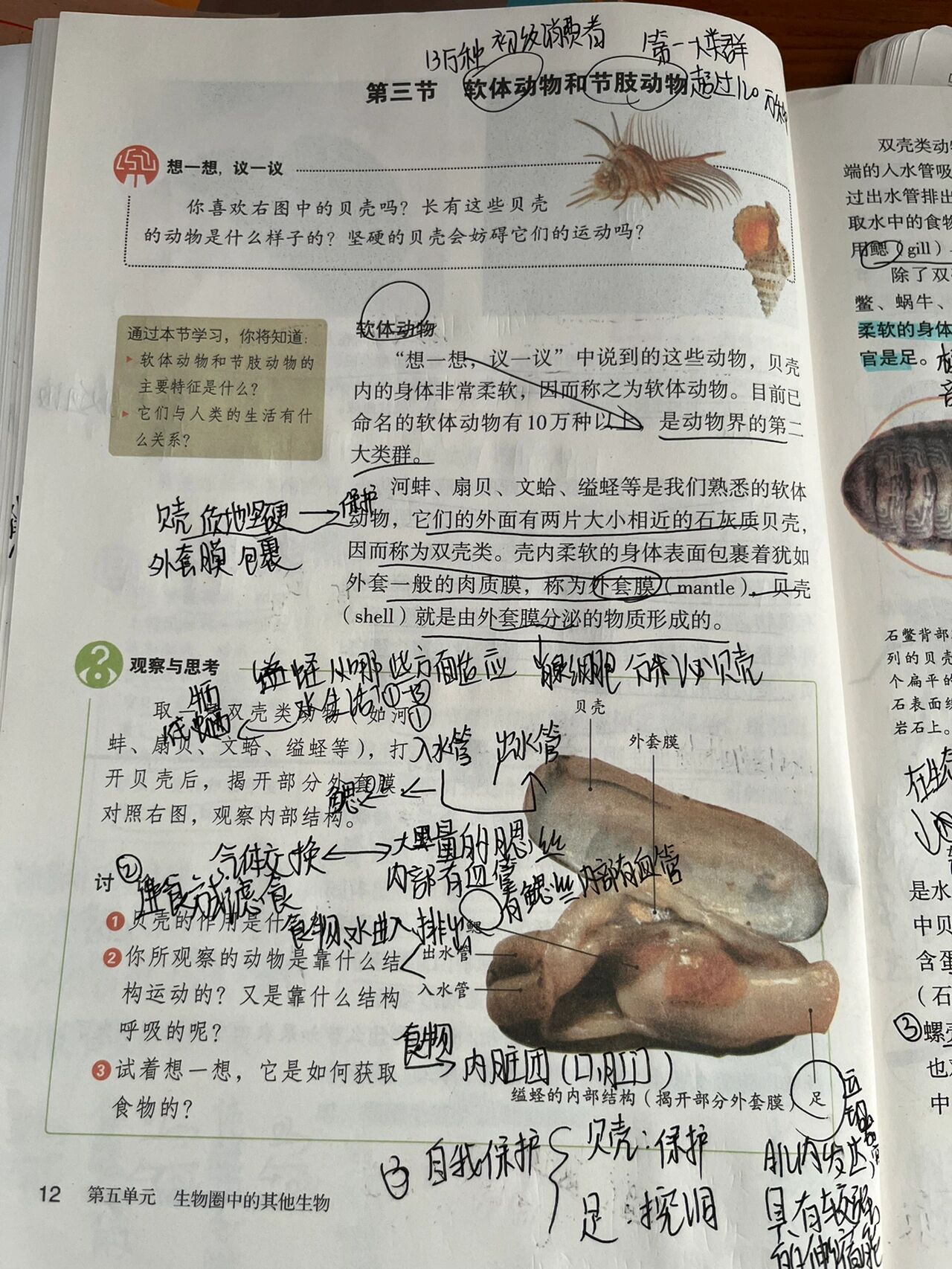 人教版八上生物预习笔记第三节
