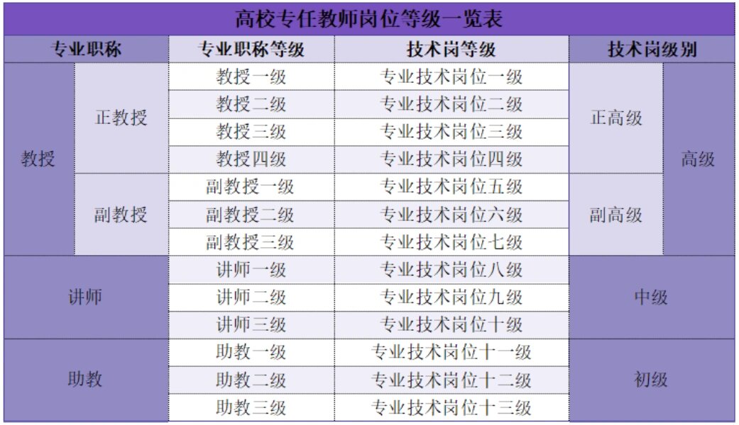 高校教师工作 专任教师岗位等级一览表95