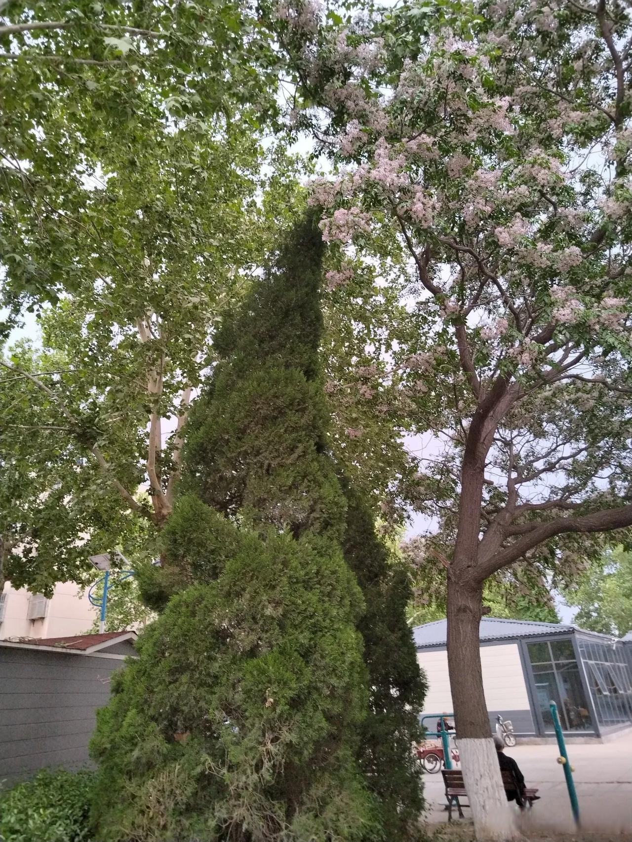 我的宝藏兴趣 三棵树一线天
