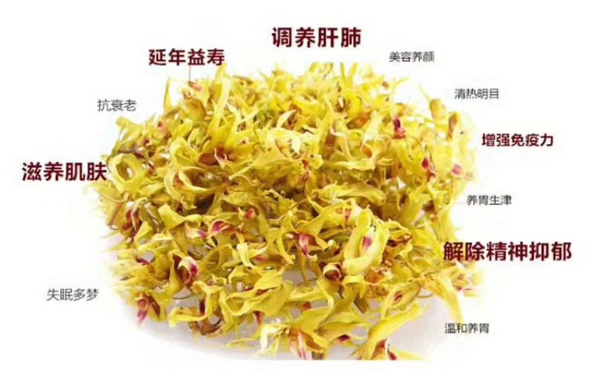 铁皮石斛花功效与作用 铁皮石斛的全身都是宝,不仅铁皮石斛的效果比较