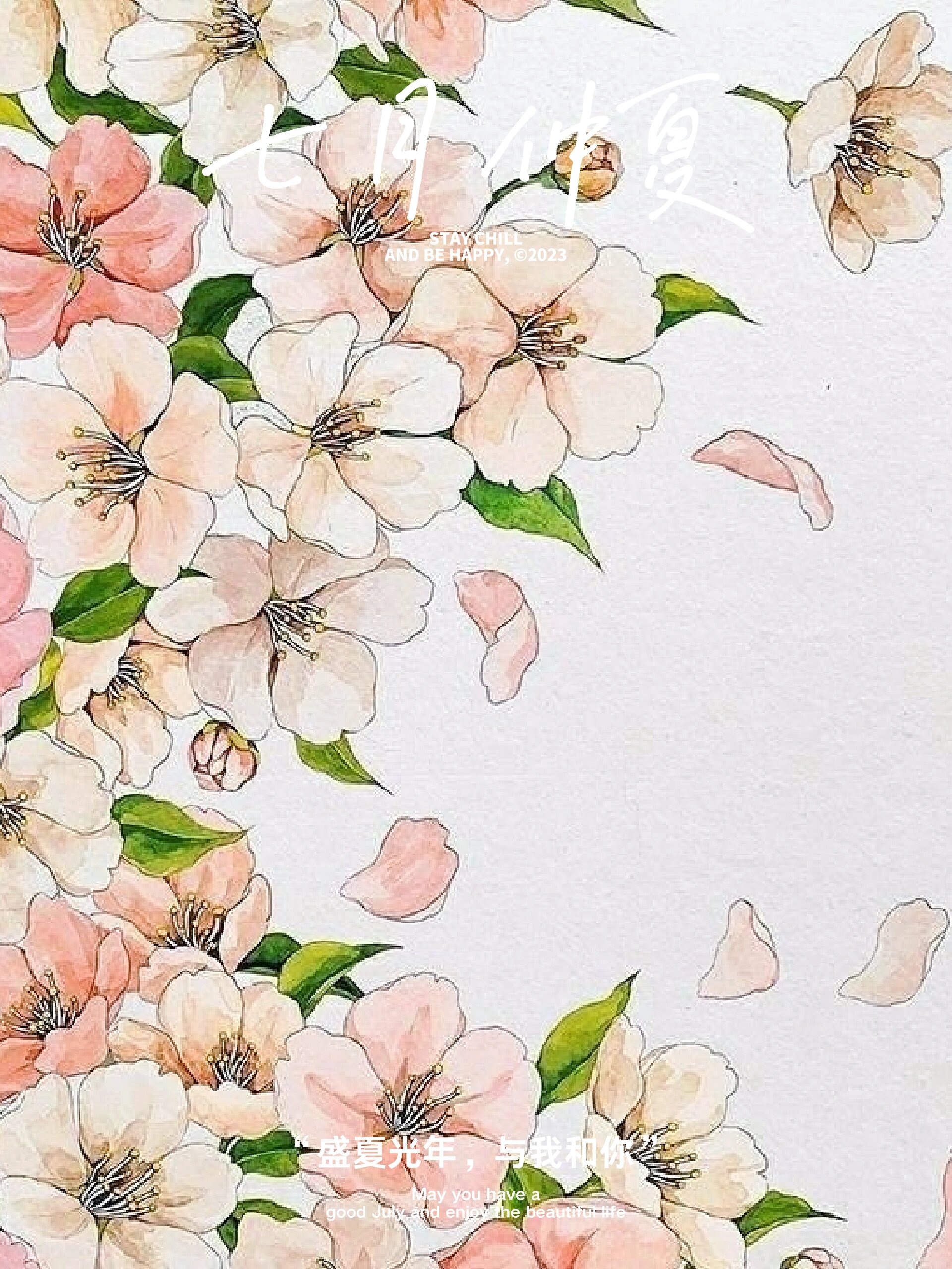 花卉手绘线稿500张清凉一夏美图分享