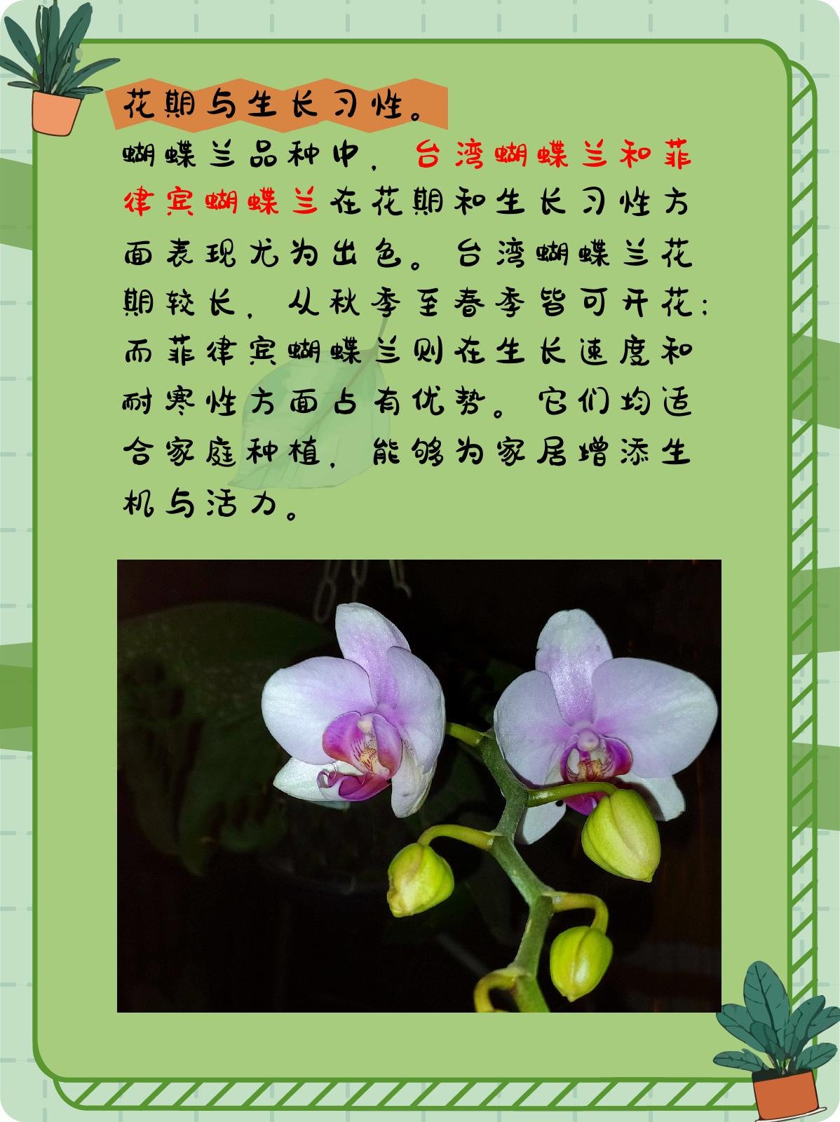 哪种蝴蝶兰品种最好? 1.@小企的植物小贴士的动态