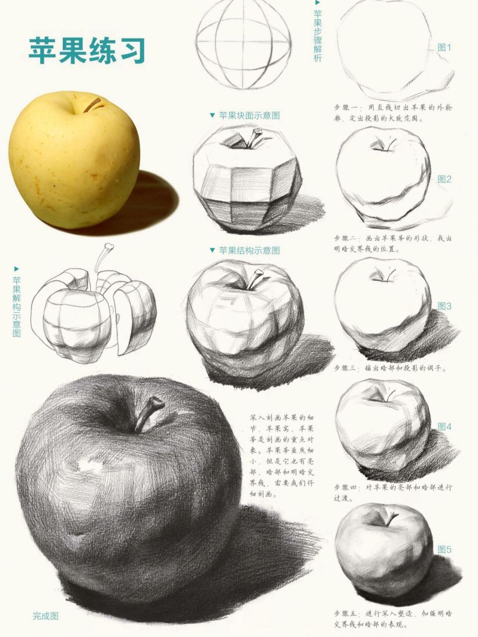素描苹果单体 素描苹果单体