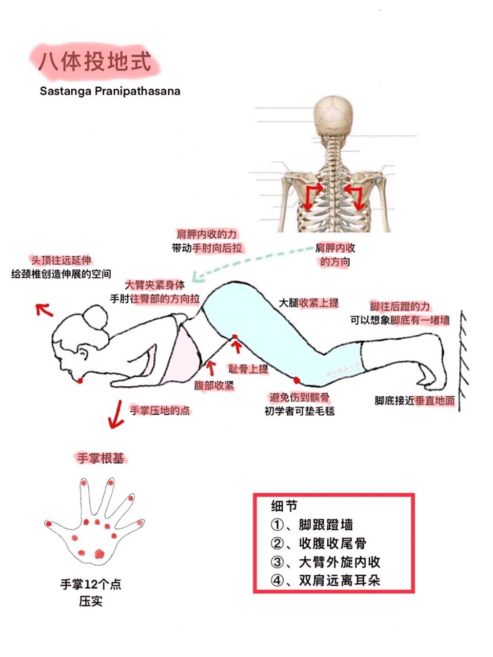 瑜伽教练培训体式|瑜伽体式六:八体投地式 瑜伽教练培训体式|瑜伽体式