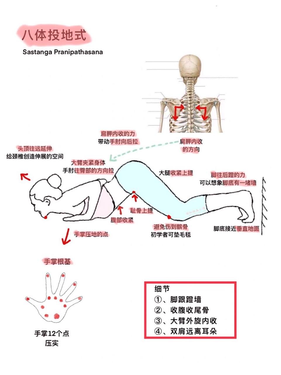 瑜伽教练体式背诵口诀图片