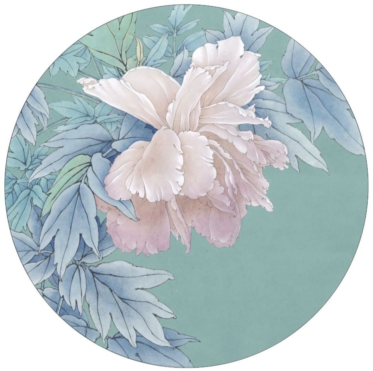 工笔画步骤分享《酒醉杨妃》 作品尺寸40ⅹ40cm 1,花头淡墨勾勒,叶片