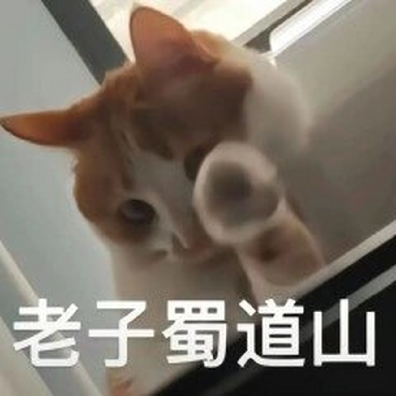 表情包||伸手党表情包,谁还没有呢 源于网络,如有侵权联系删