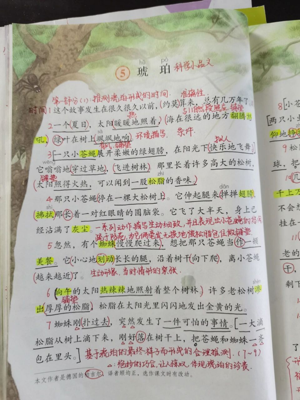 部编版四年级下语文教案第五课《琥珀》 圆圈多音字 黑笔固定搭配和