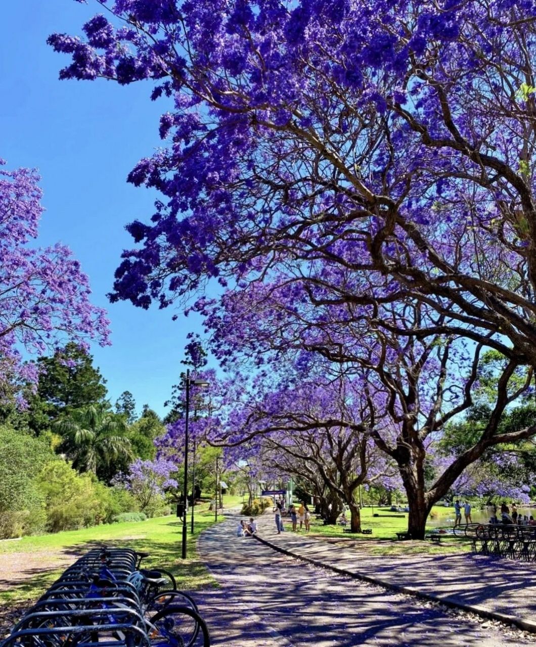 昆士兰大学(theuniversityofqueensland),简称昆大,始建于1910年,是
