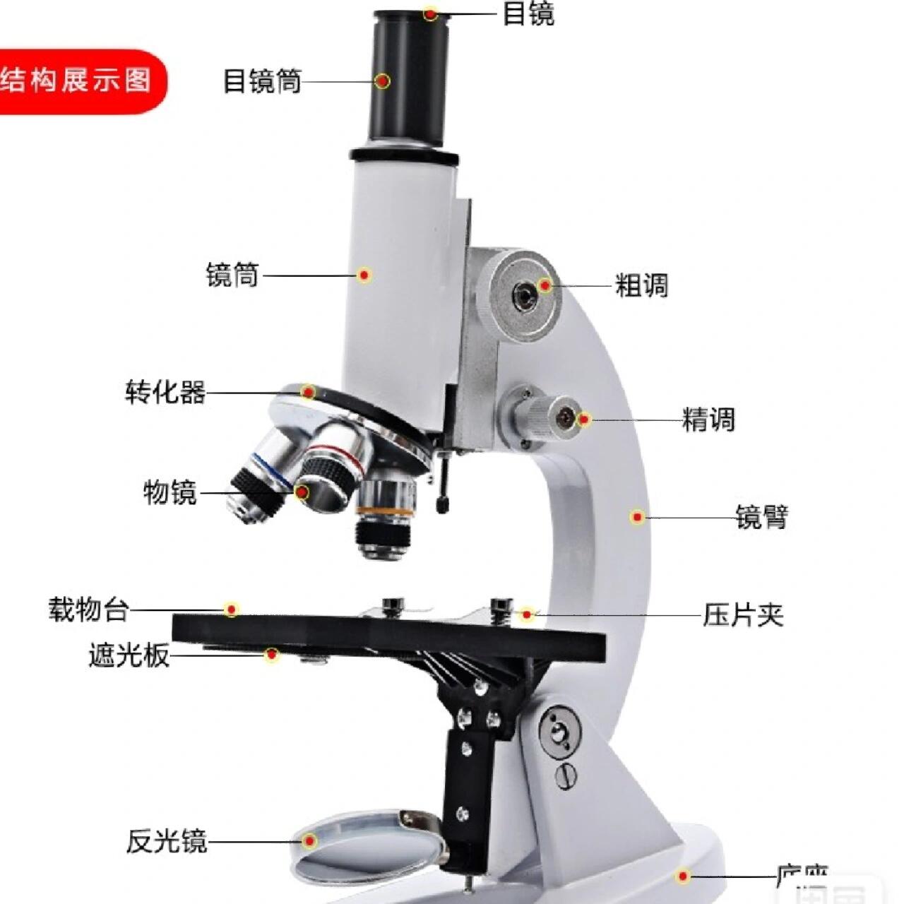 光学显微镜结构名称图图片