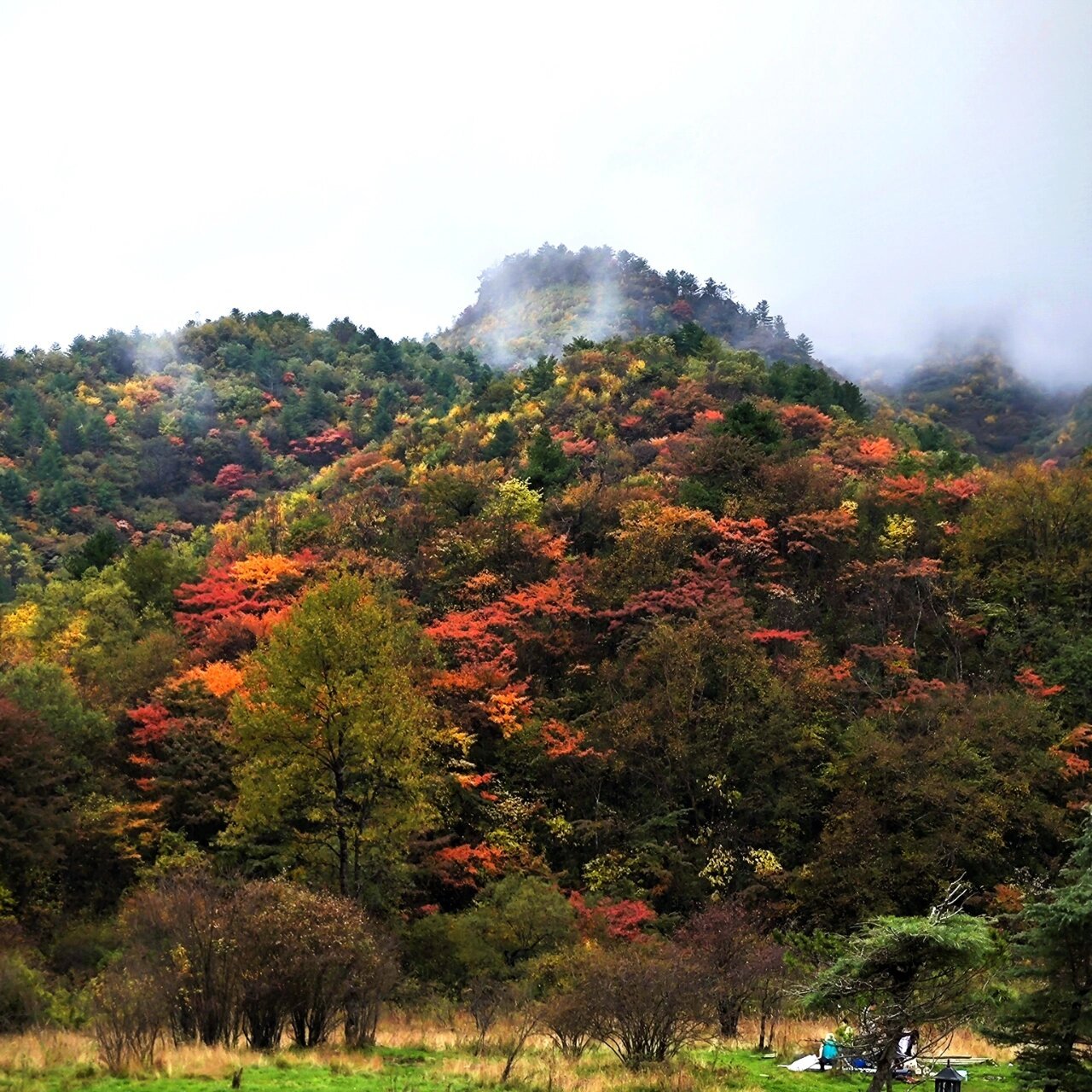 陕西的最南边-镇坪县飞渡峡黄安坝景区 因为疫情的限制,美好的国庆节
