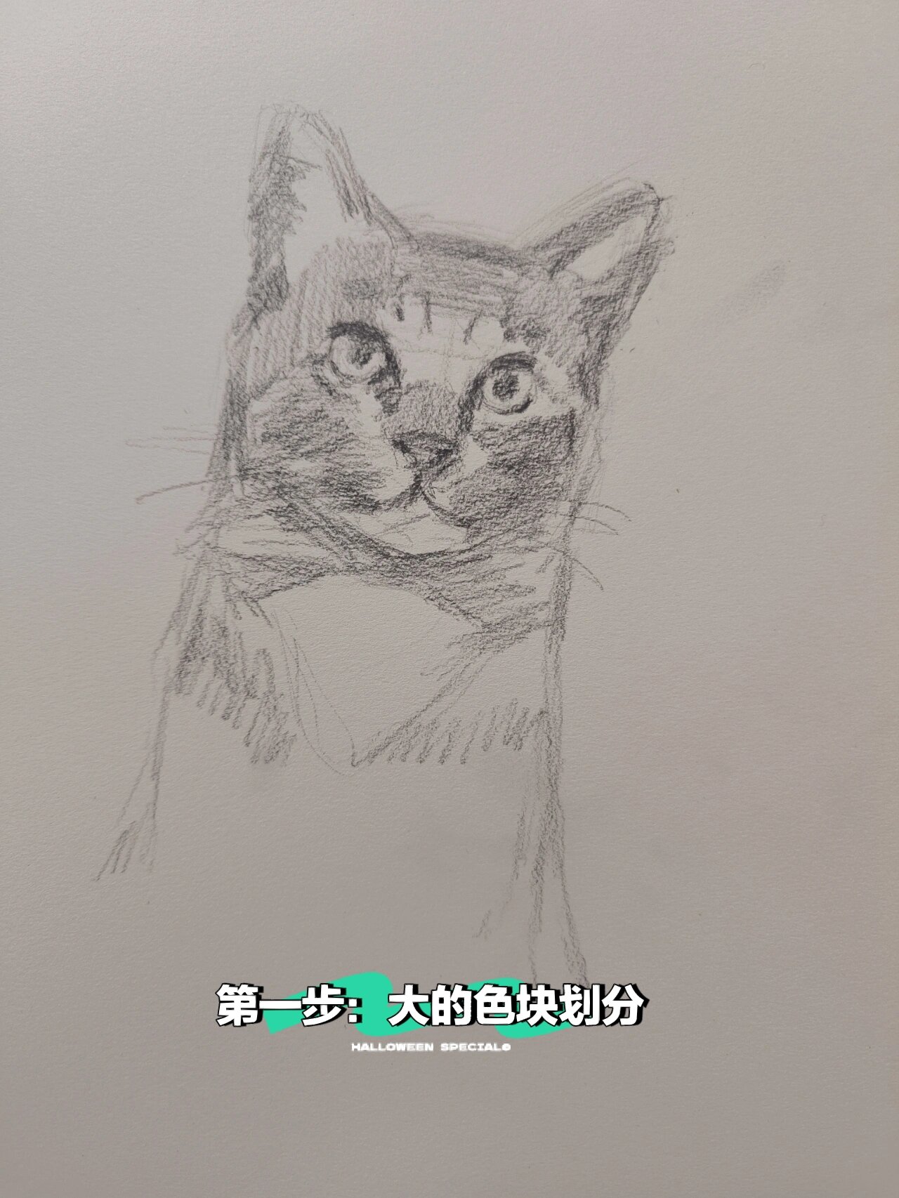 狸花猫的简单画法,带步骤详解