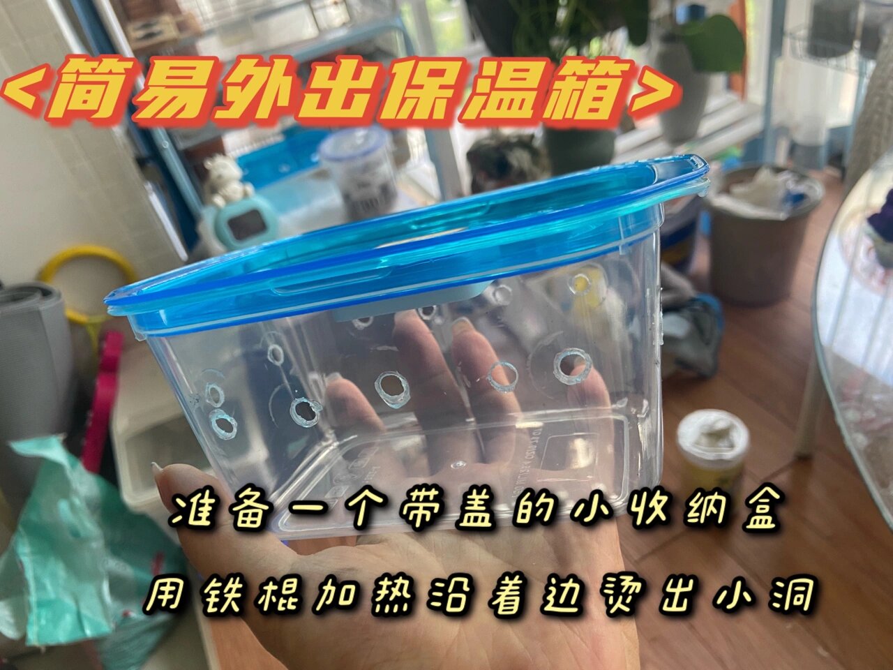 简易雏鸟保温箱制作方法