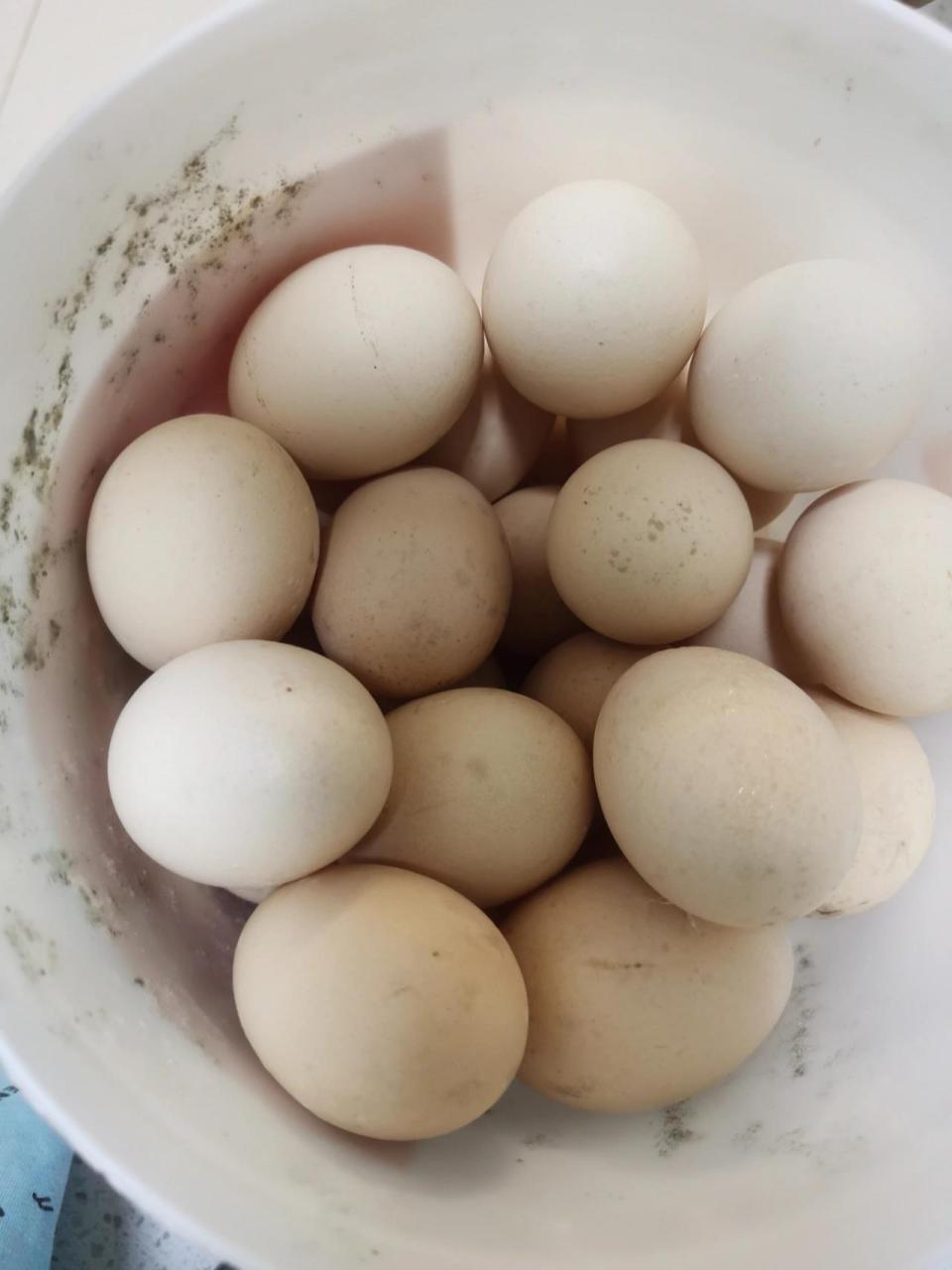 刚打开里面没有变质,但外壳发霉了,这么一大筐,舍不得扔啊!