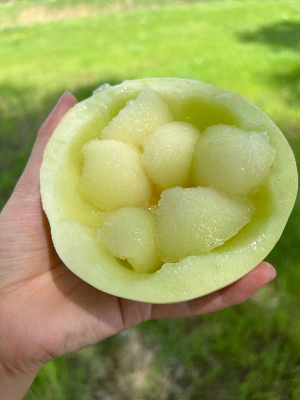 闺蜜每次都要囤7,8个的奶油小瓜,好吃哭了01 只有现在才有的小籽